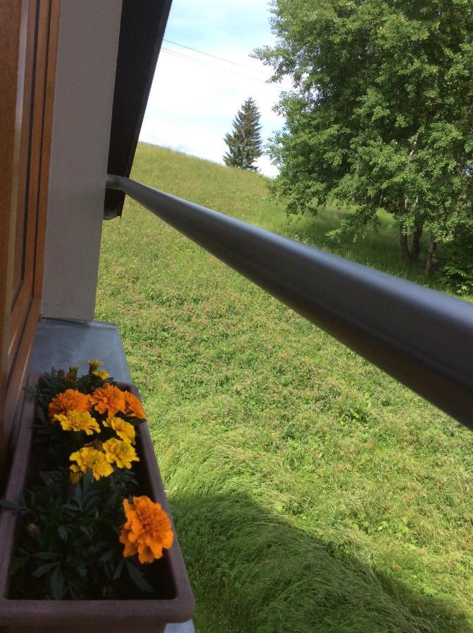 Apartman Odolov Jestrebi Hory Male Svatonovice Eksteriør bilde
